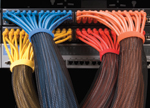 Flexo PET - Networking